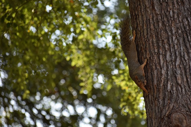 了艺术价值 了艺术价值