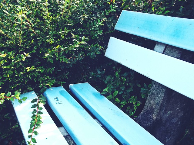 将成为他们 将成为他们