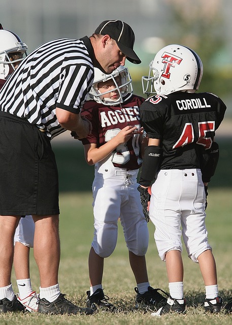 了大量的进 了大量的进