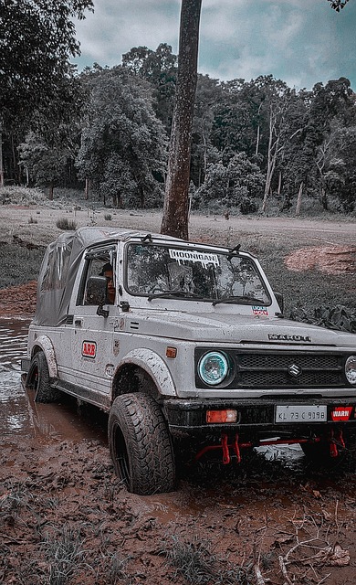 都显示出她 都显示出她