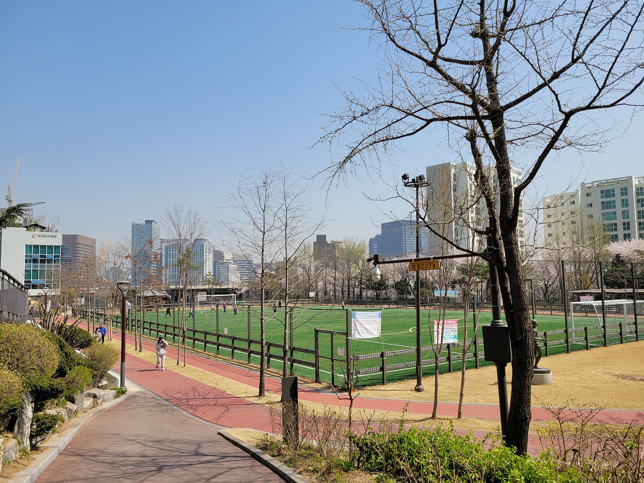 了其他球员 了其他球员