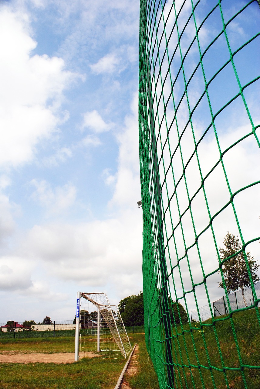 功并不仅仅 功并不仅仅